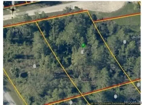 Residential Land in Weeki Wachee