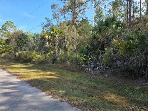 Residential Land in Crystal River