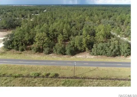 Two Acre Lot in Williston