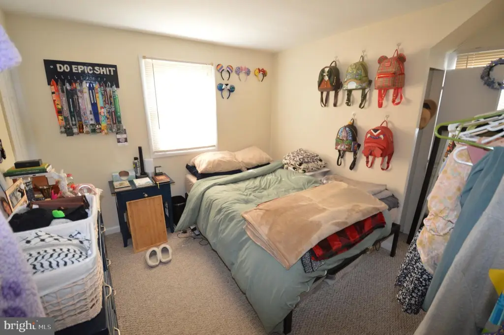 Picture 13