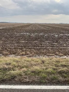 Chandler, IN Agricultural Land