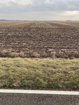 Chandler, IN Agricultural Land