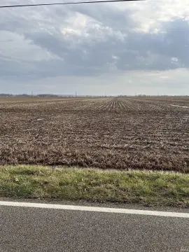 Chandler Agricultural Land For Sale