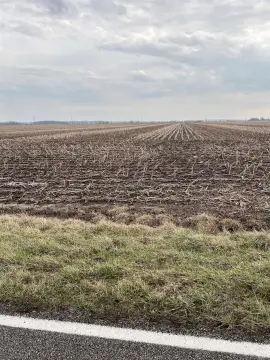 Chandler, IN Agricultural Land