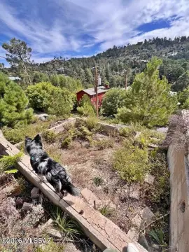 Mt. Lemmon Land Opportunity