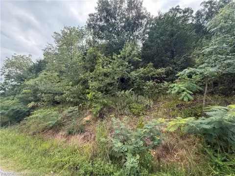 Mansfield Land with Lake View