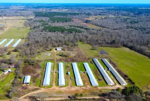 Profitable Poultry Farm on 40 Acres