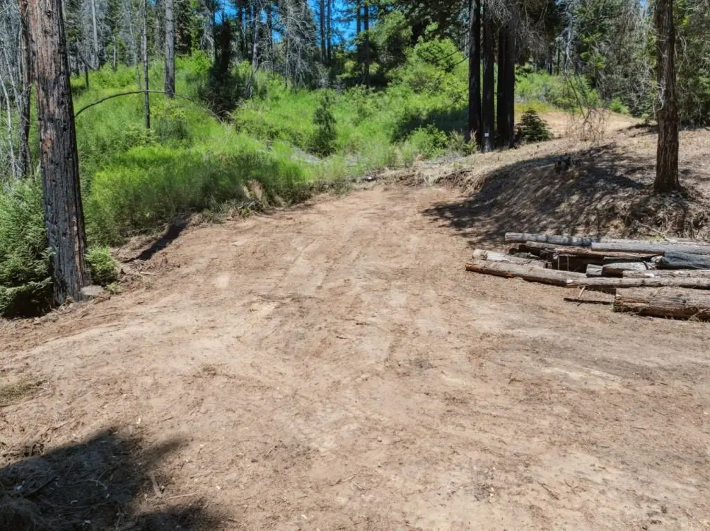 Picture 18