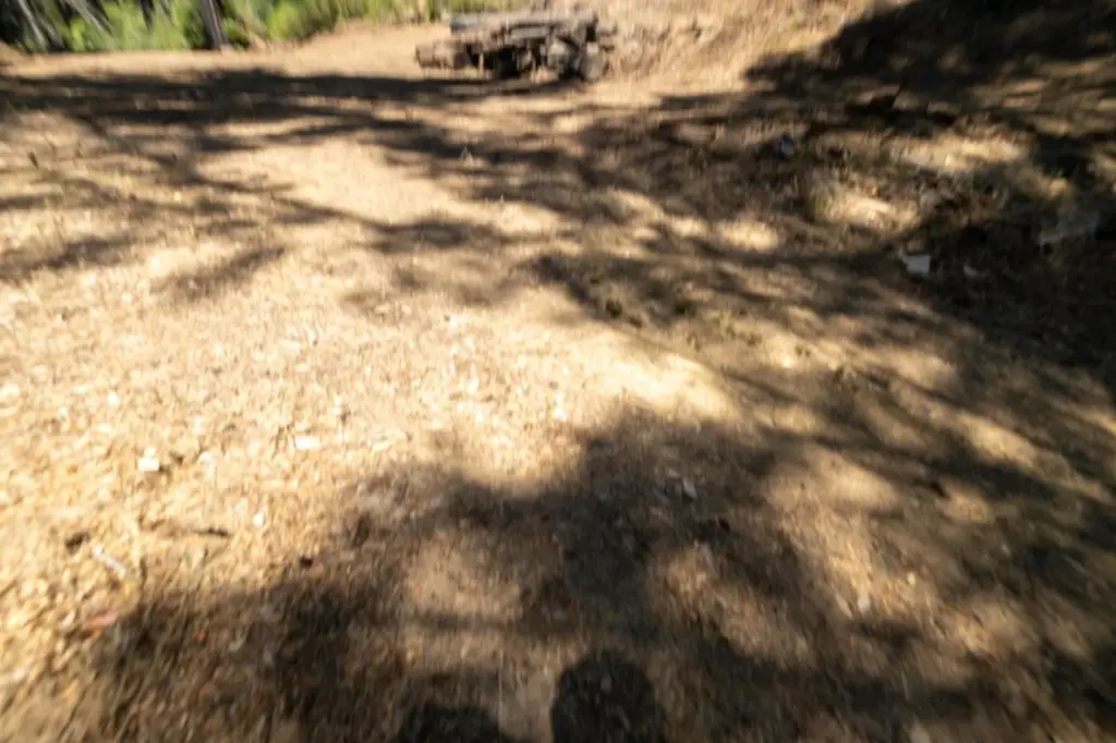 Picture 11