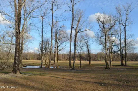 Land on Atchafalaya River