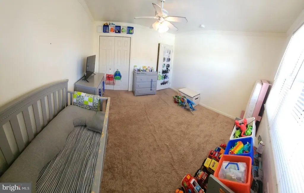 Picture 9