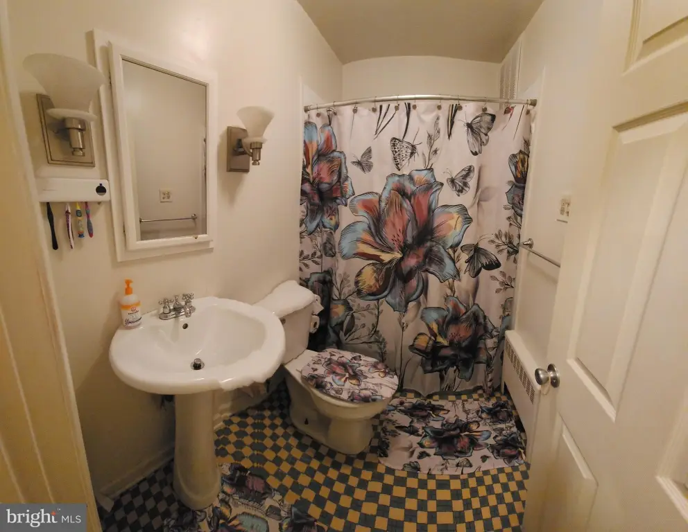 Picture 12