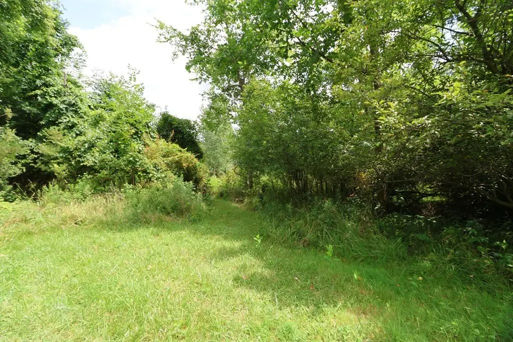 Picture 9