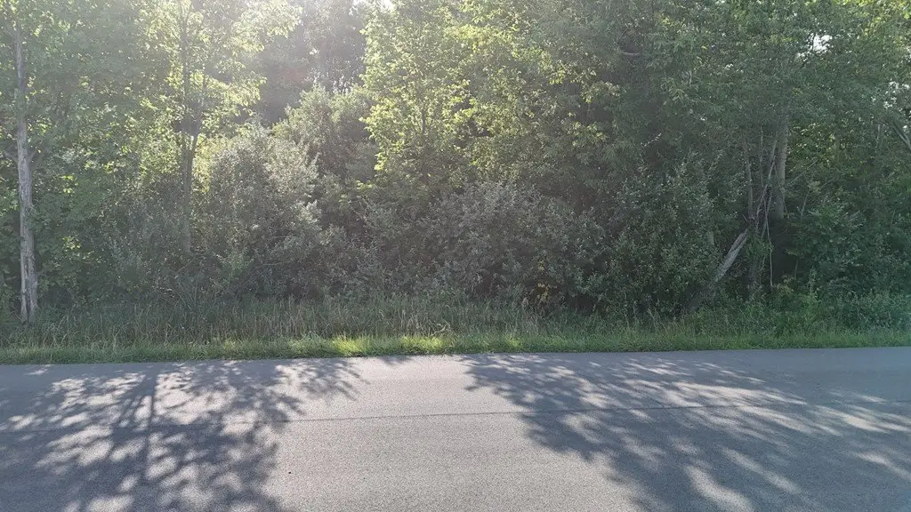 Picture 38