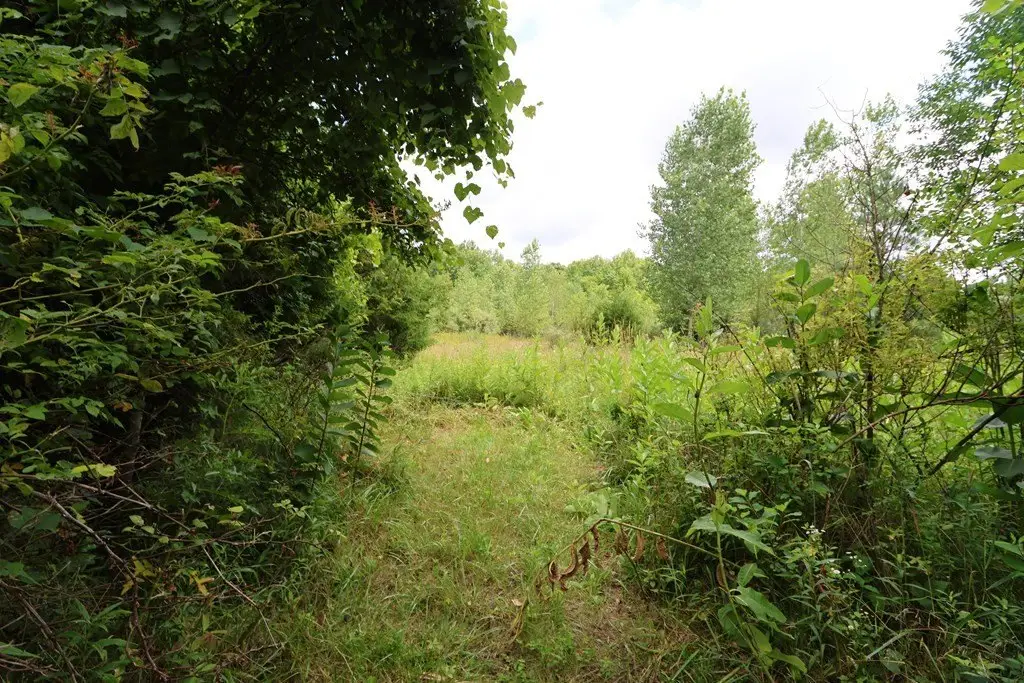 Picture 5