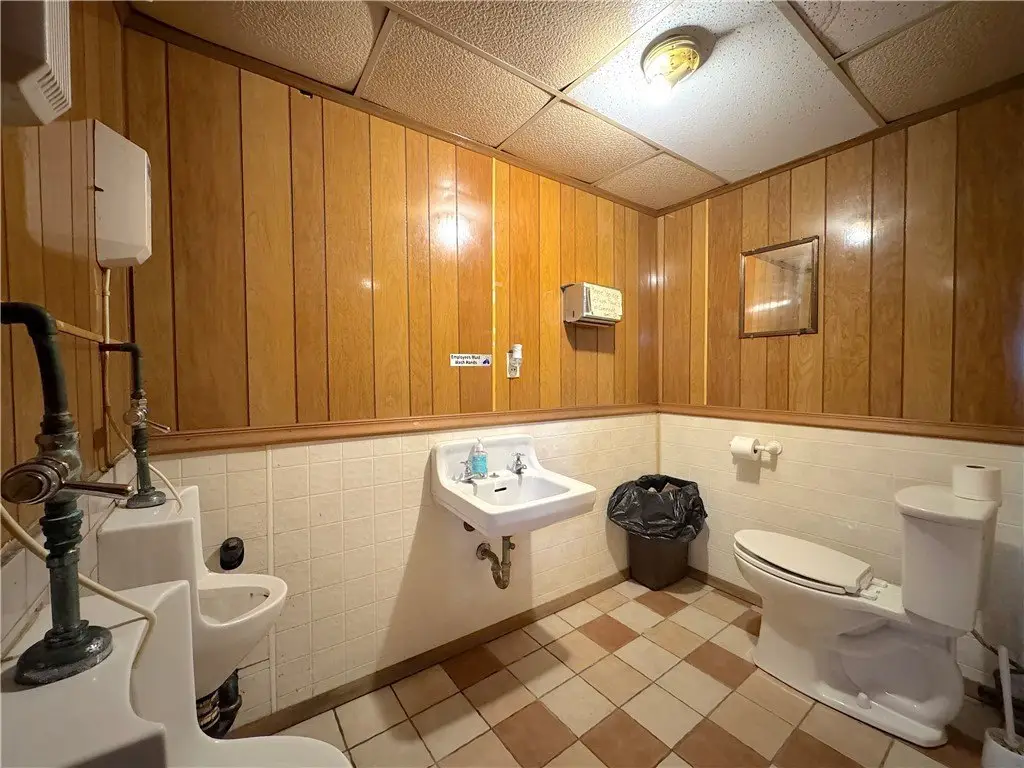Picture 15