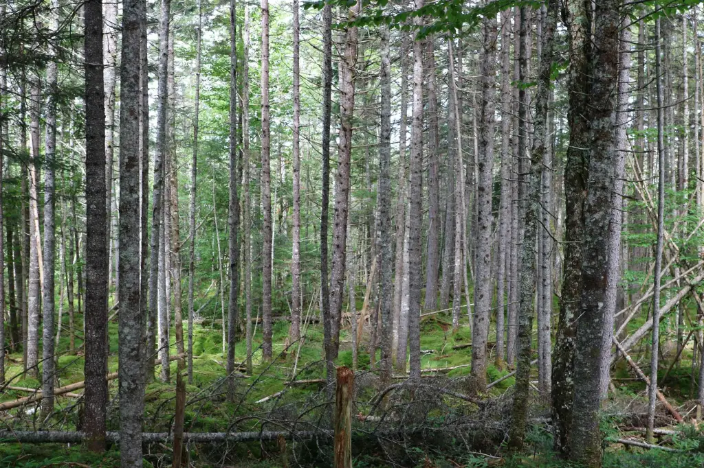 Picture 24