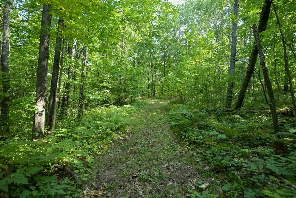 Picture 30