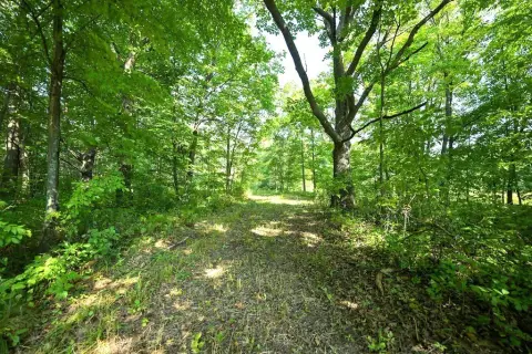 Wooded Hunting Land with Private Lake