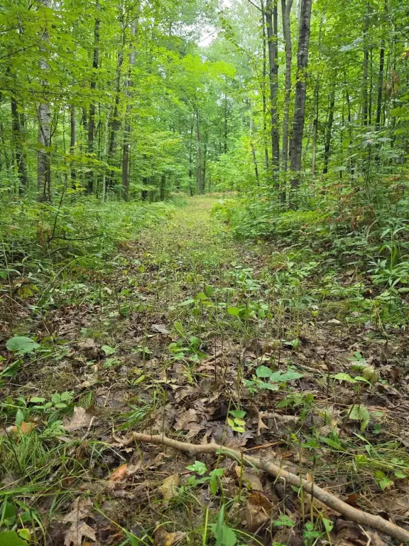 Picture 17