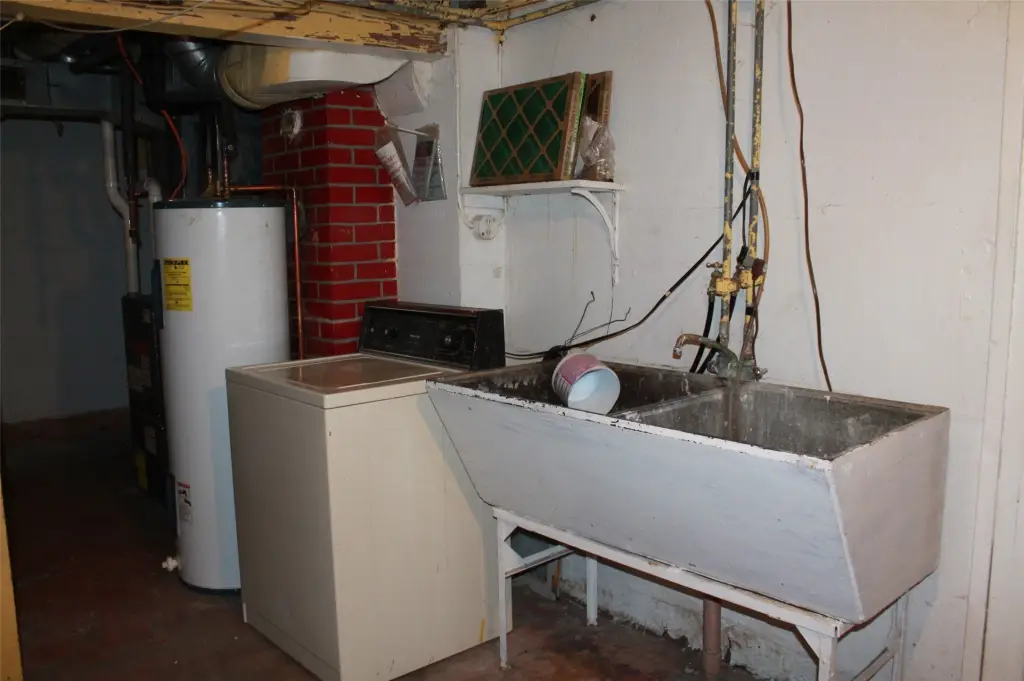 Picture 8