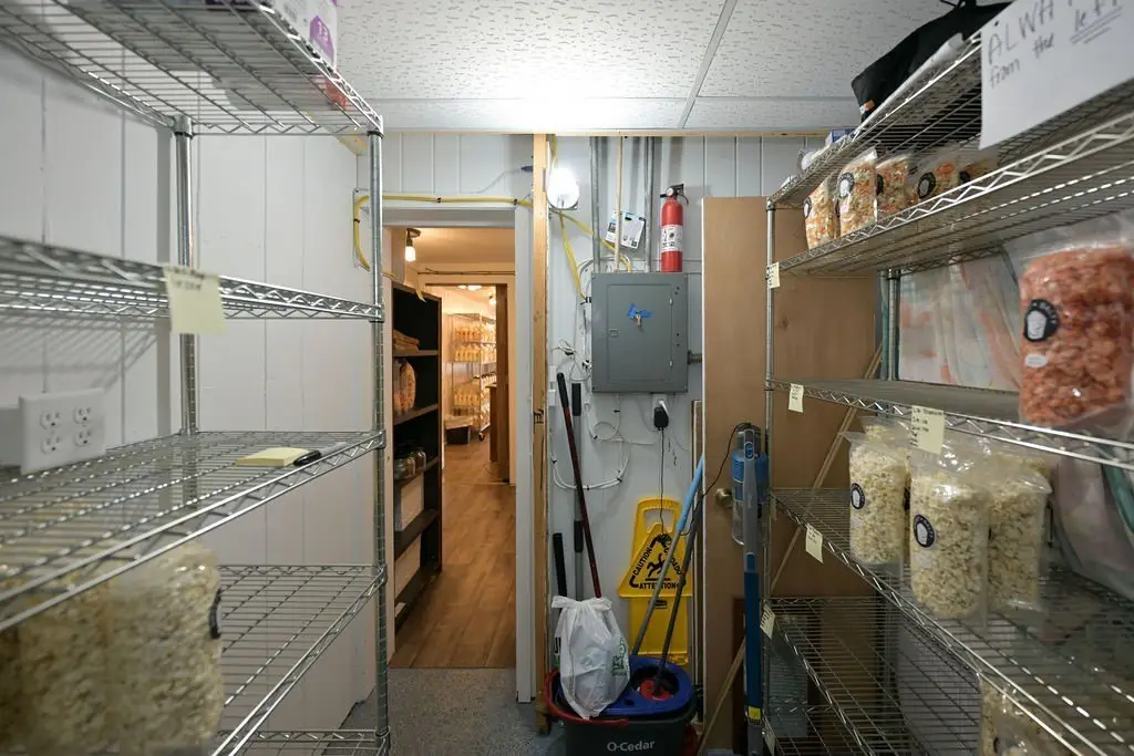 Picture 16