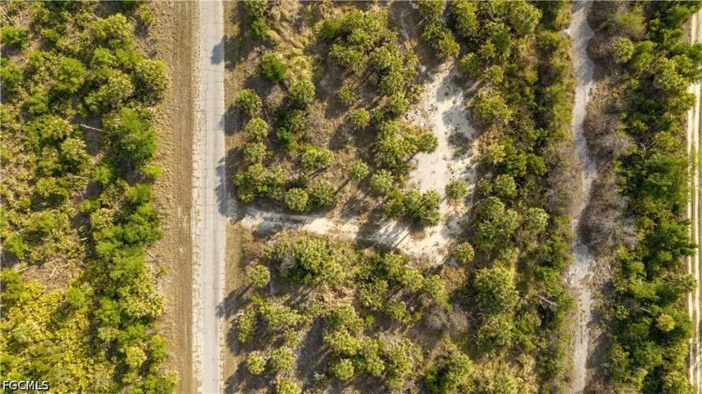 Picture 14