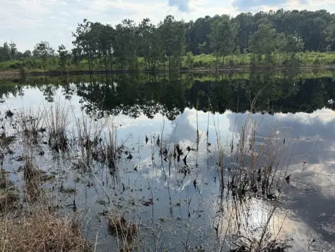 Hunting Land with Pond