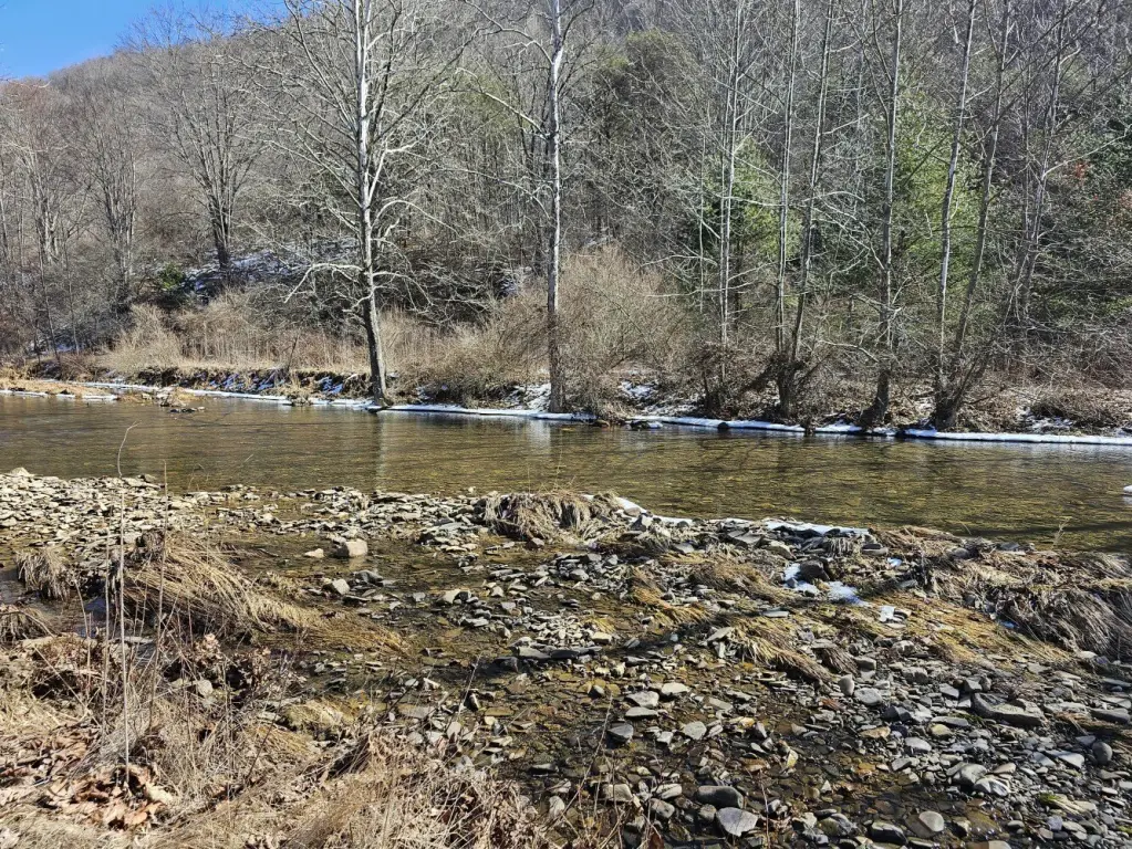 Picture 36