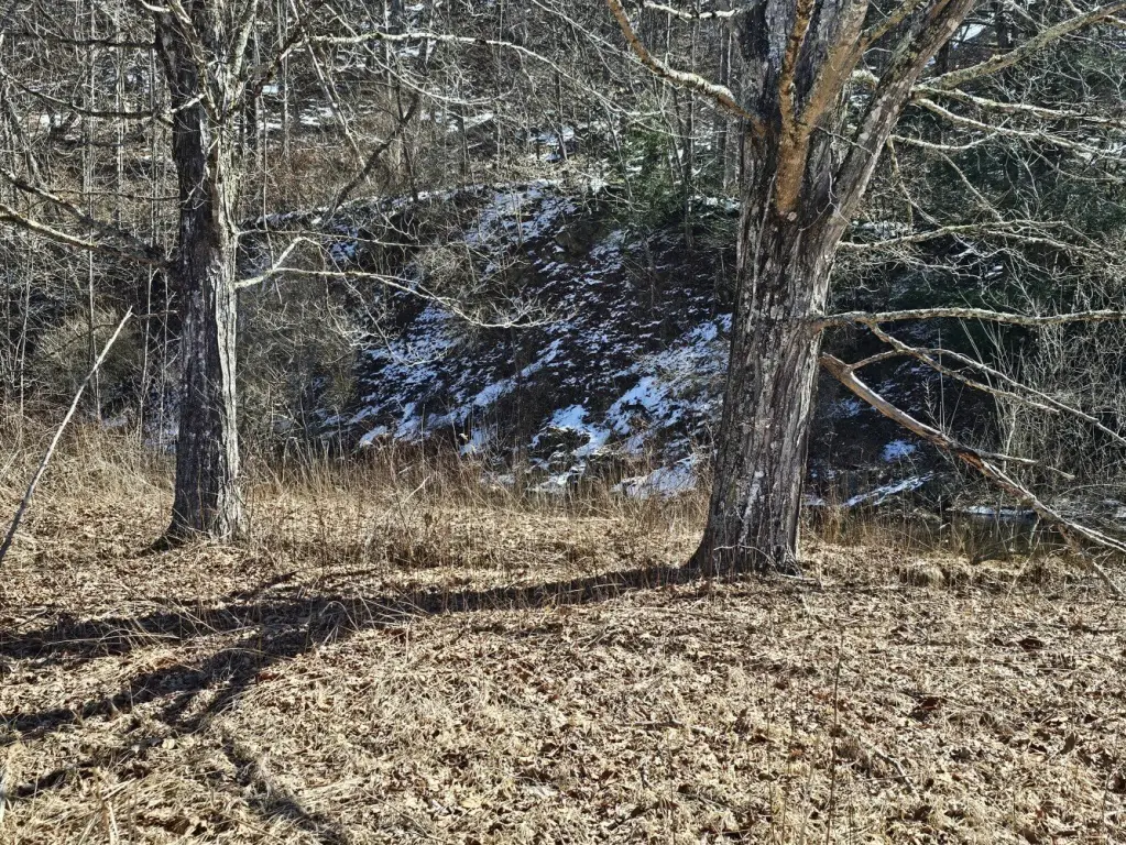 Picture 43