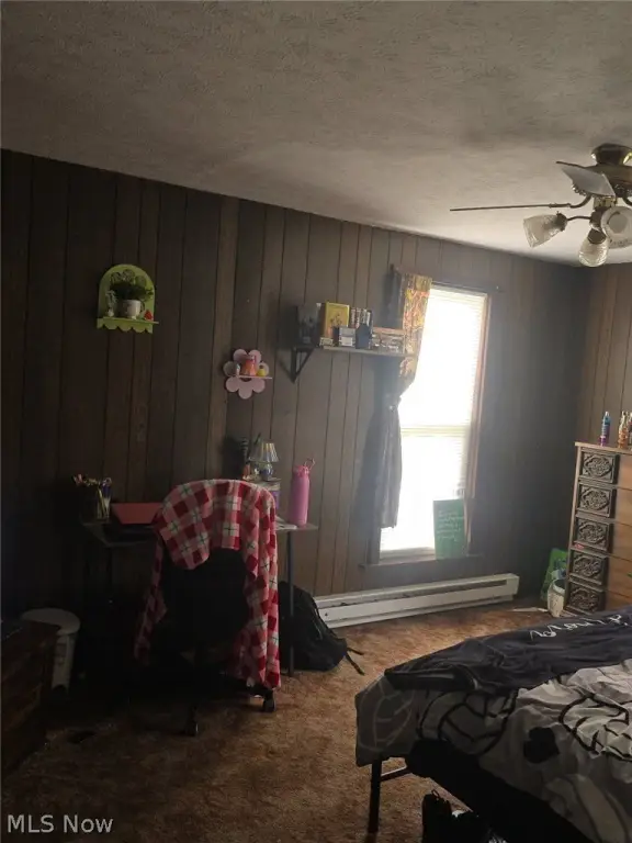 Picture 43