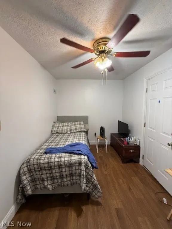 Picture 24