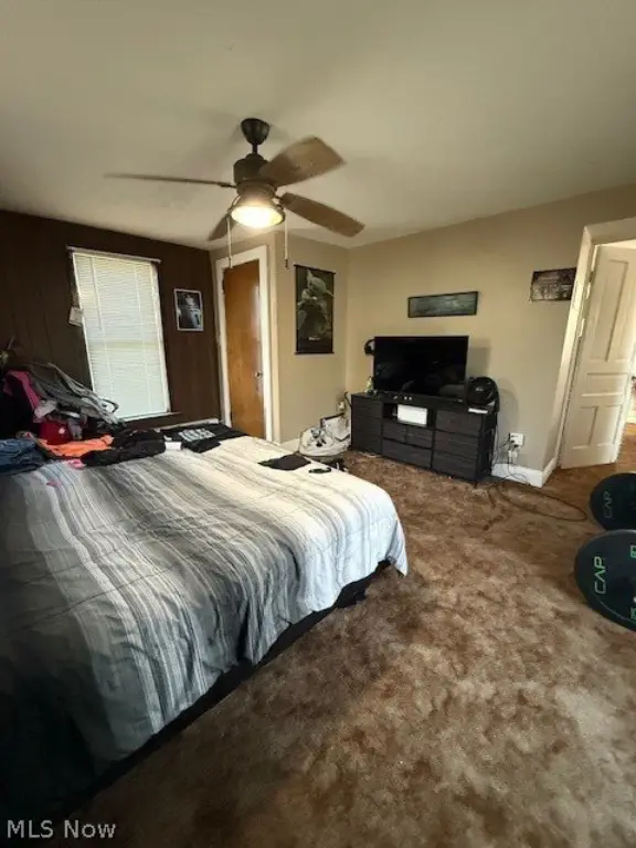 Picture 38