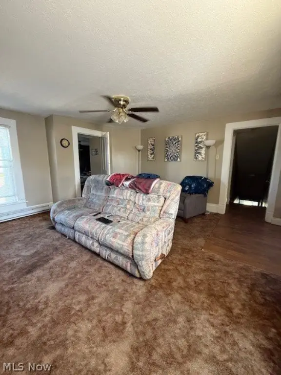 Picture 36