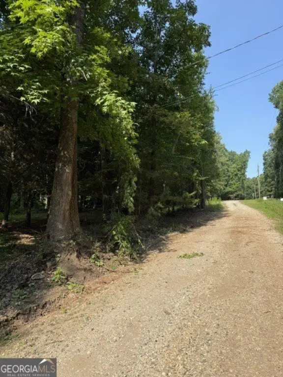 Picture 8