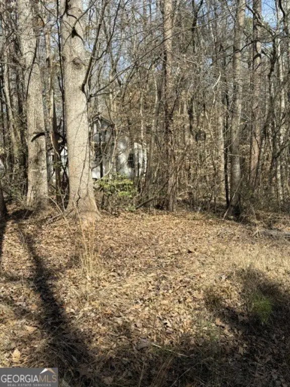 Picture 16