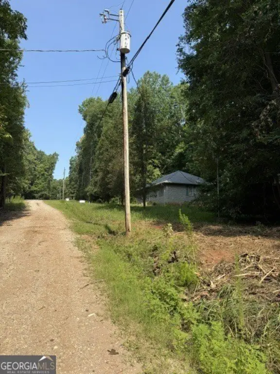 Picture 7