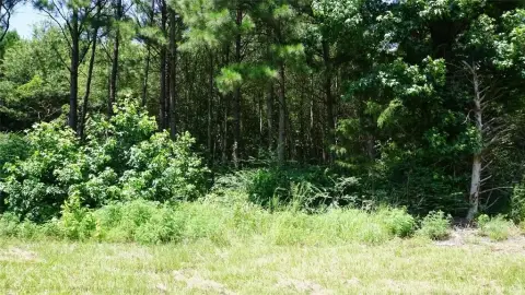 Hawkins Land with Highway Frontage