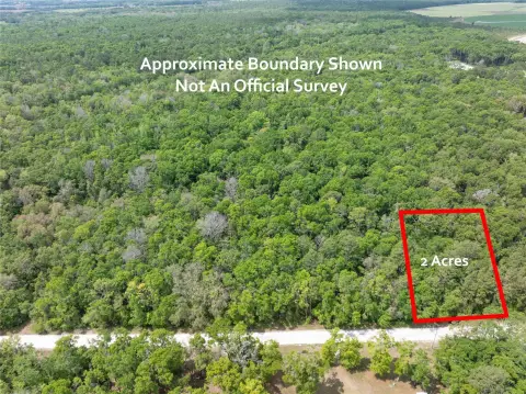 Vacant Land in North Florida