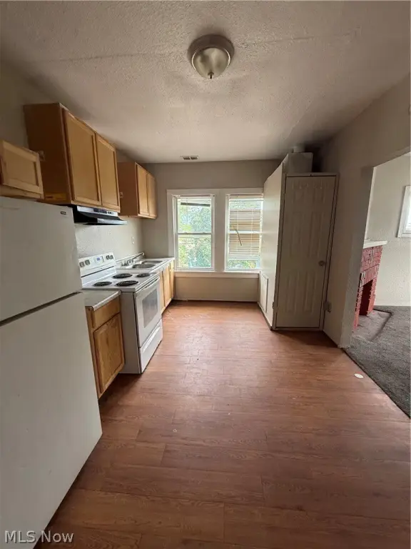Picture 25