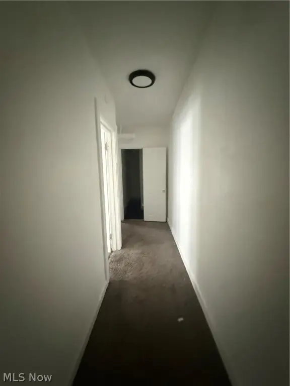 Picture 43