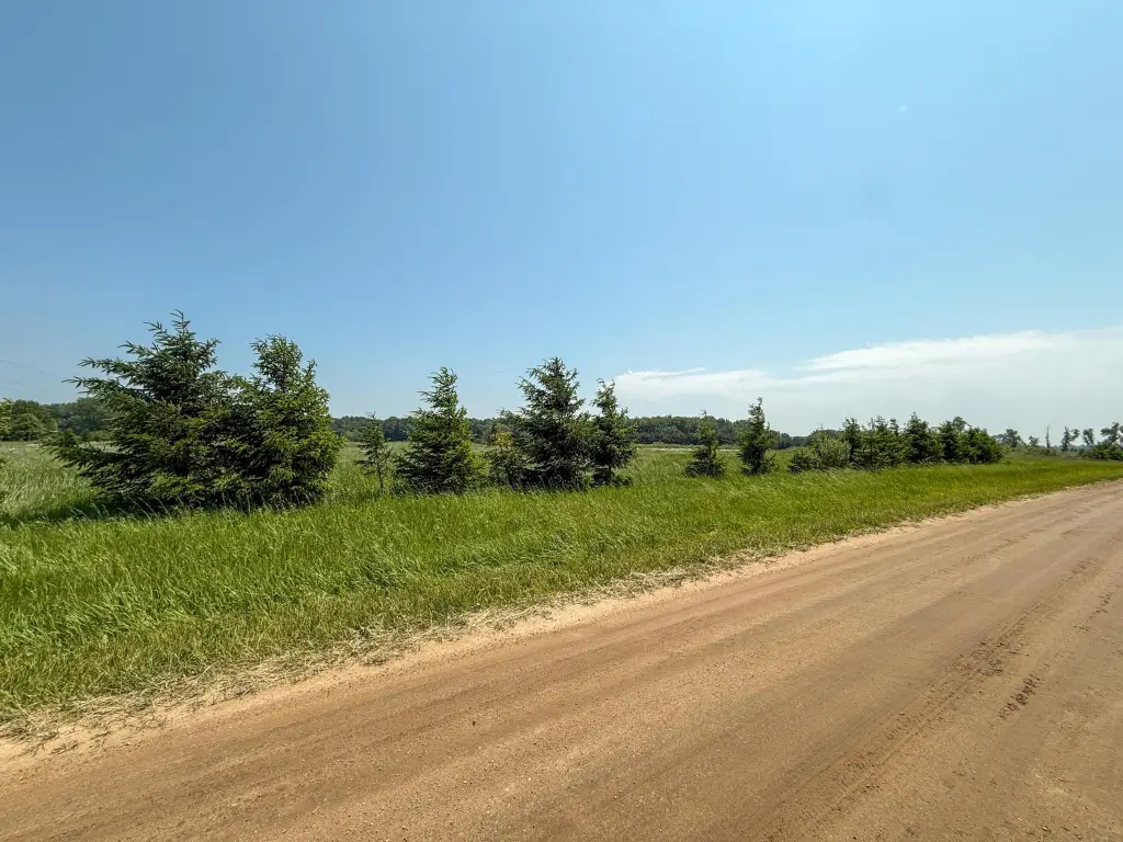 Picture 16