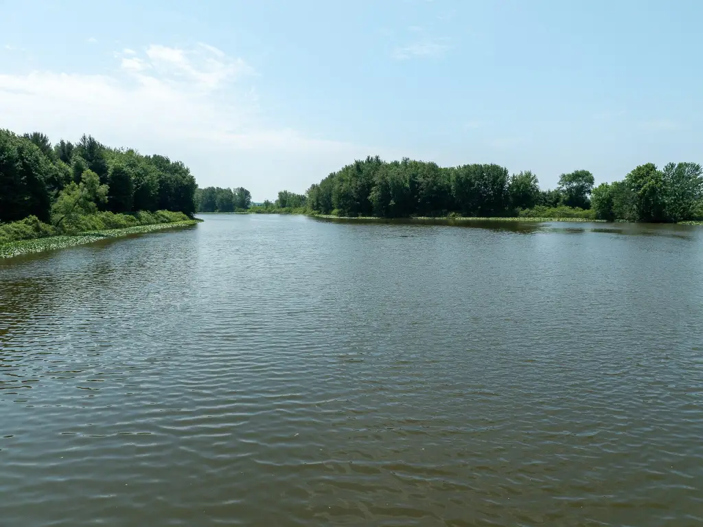 Picture 19