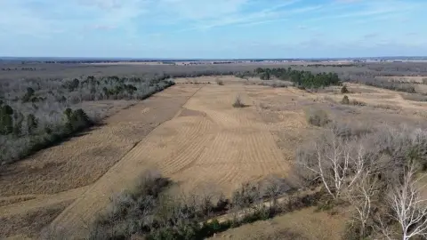 Grapeland, TX 12.5-Acre Property