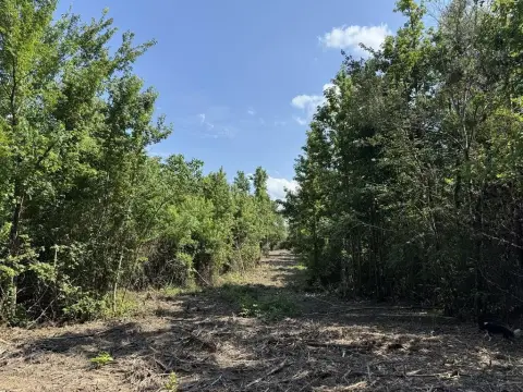 Unrestricted Timber Land in Timpson