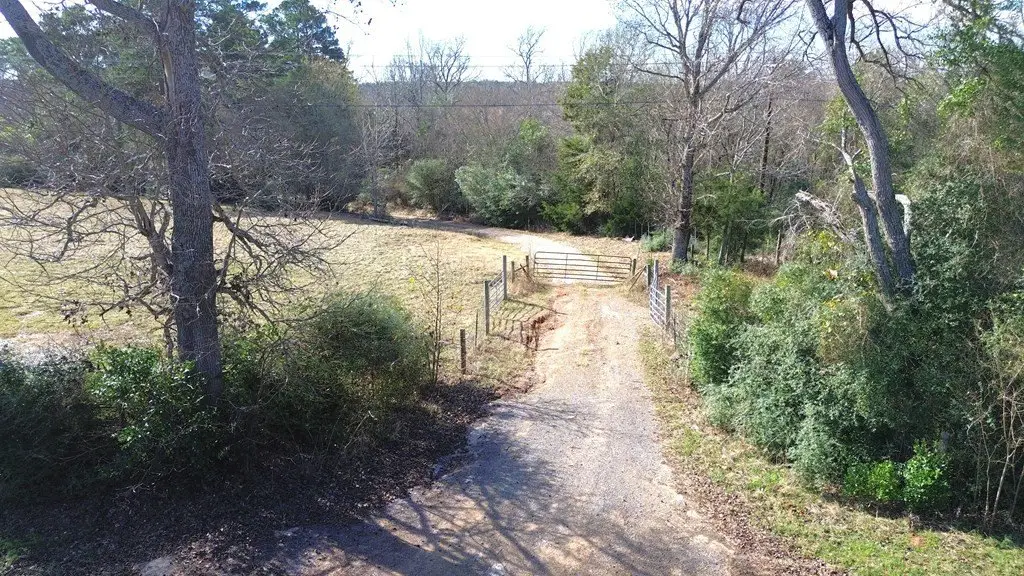 Picture 24