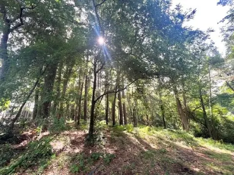 Residential Lot Near SFA