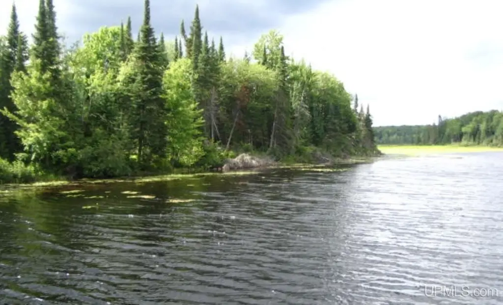 Picture 35