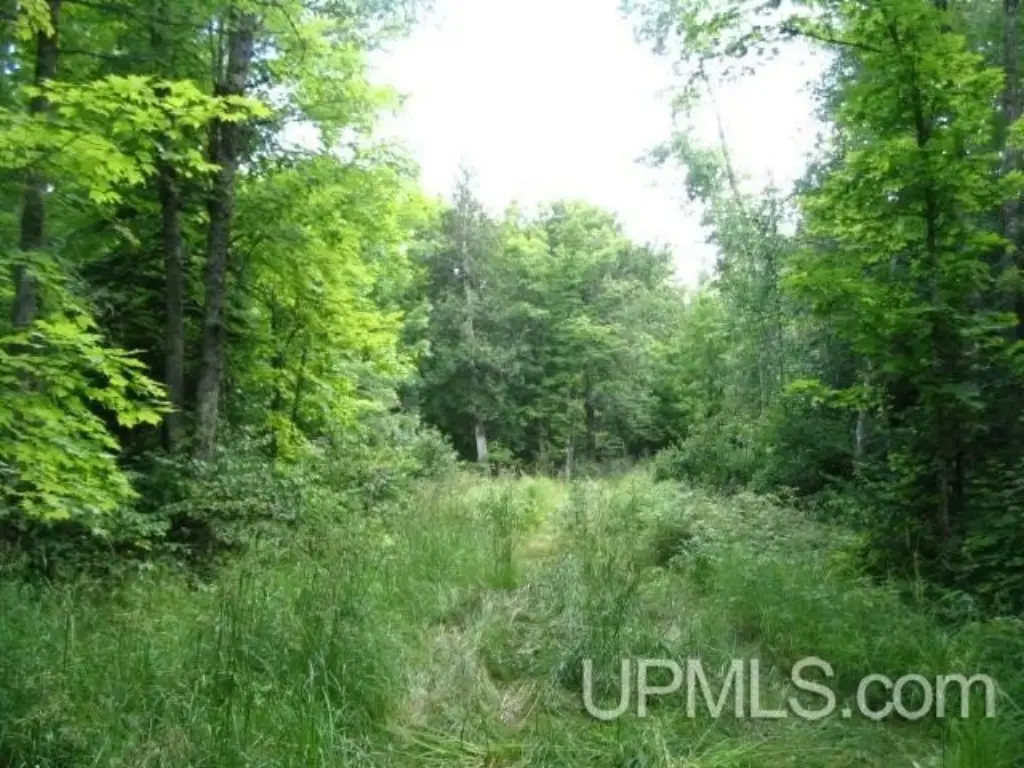 Picture 11