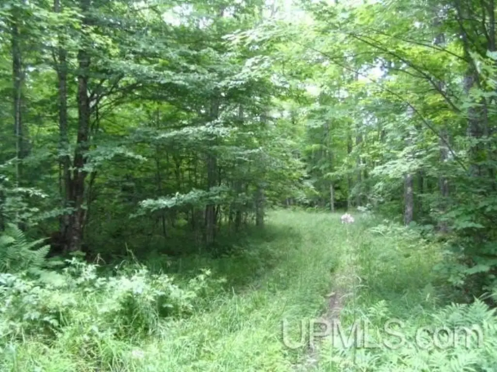 Picture 9